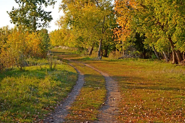 Parque de otoño —  Fotos de Stock