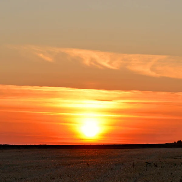 Zonsondergang in het herfst veld — Stockfoto