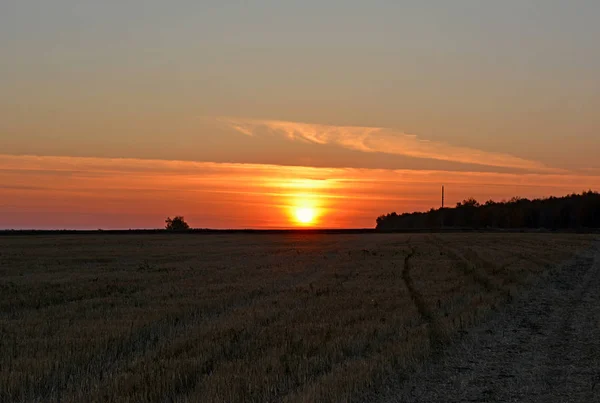 Zonsondergang in het herfst veld — Stockfoto