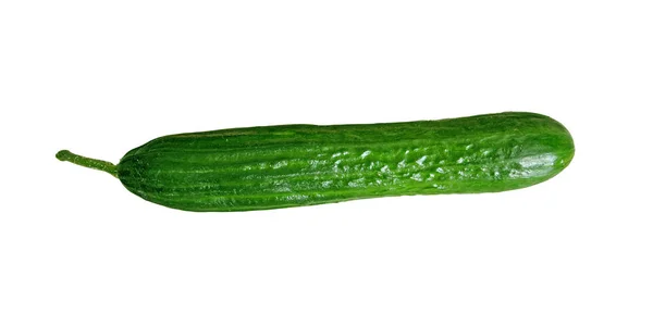 Lång grön gurka isolerad på en vit bakgrund — Stockfoto