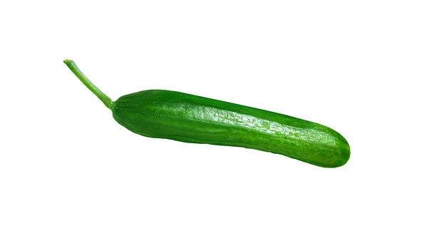 Groene verse komkommer geïsoleerd op een witte achtergrond — Stockfoto