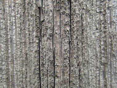 Ahşap doku arka plan yüzeyi eski doğal desen. d için boş