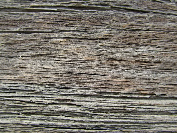 Ahşap doku arka plan yüzeyi eski doğal desen. d için boş