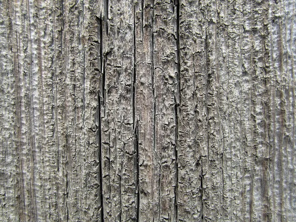 Ahşap doku arka plan yüzeyi eski doğal desen. d için boş