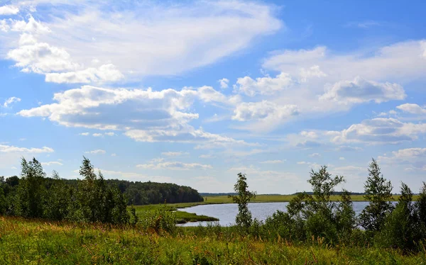 Sommerlandschaft Landschaftsbild Eines Sommergrünen Waldes Und Eines Sees Der Ferne — Stockfoto