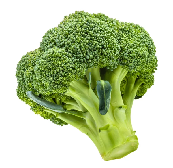 Brokolice Izolované Bílém Bez Stínu — Stock fotografie