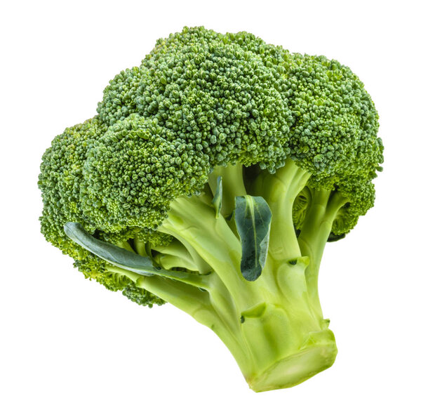 broccoli isolated on white without shadow