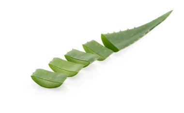 Aloe vera bitkisi beyaz arkaplanda
