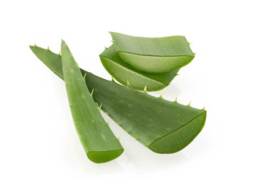 Aloe vera bitkisi beyaz arkaplanda