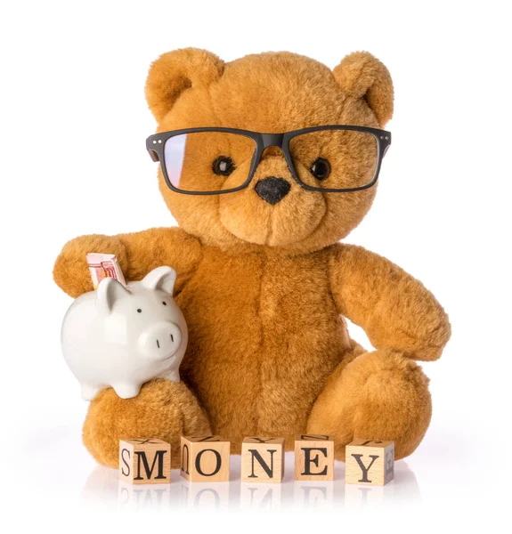 Teddy bear. Money savings concept isolated white background — Stock Photo, Image
