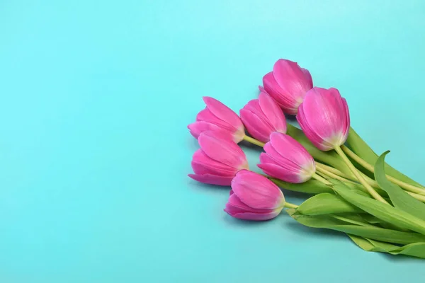 Jarní květiny skládanky-banda burgundského Tulipán pohled shora — Stock fotografie
