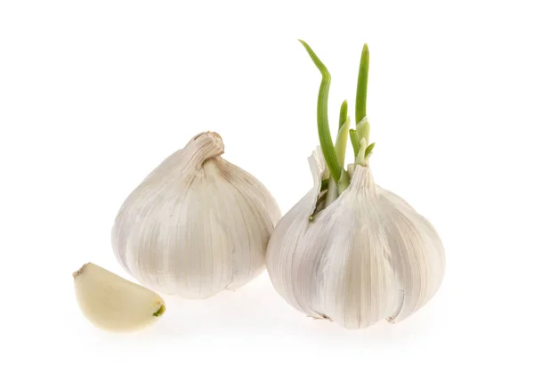 Knoflook geïsoleerd op witte achtergrond — Stockfoto