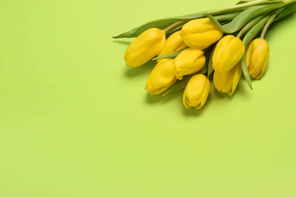 봄 꽃 현수막 - 노란 튤립 꽃들이 활짝 핀 꼭대기에서 바라본 모습 — 스톡 사진