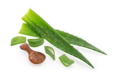 Aloe vera bitkisi izole edilmiş beyaz arkaplan