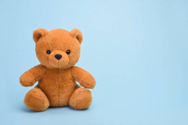 Kopya alanı ile oyuncak oyuncak ayı