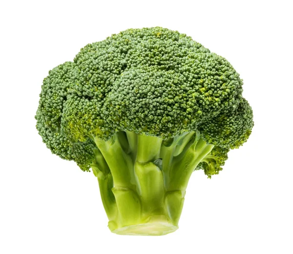 Brokkoli isoliert auf weißem Hintergrund Clipping Pfad — Stockfoto