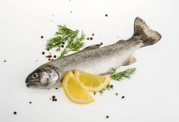 Forellenfisch mit Gewürzen von oben — Stockfoto