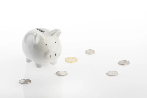 Piggy bank pengar besparingar koncept med kopieringsutrymme — Stockfoto