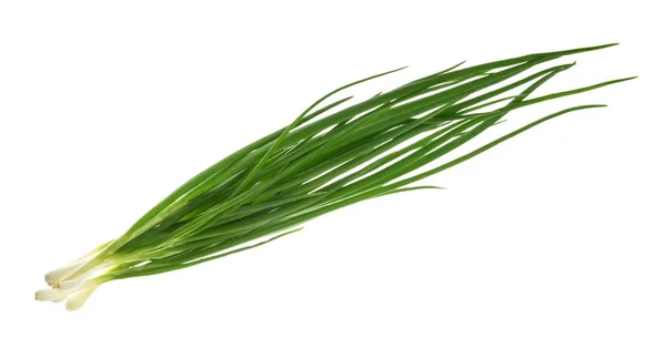 Bunch of green onions isolated without shadow clipping path — Stock Photo, Image