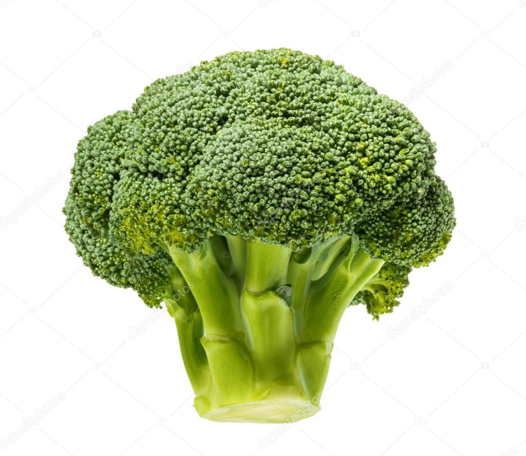 Broccoli isolated on white background clipping path