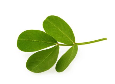 fıstık yaprağı kırpma yolu ile izole beyaz arka plan