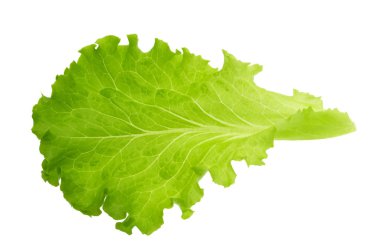 Yeşil marul yaprağı gölge olmadan izole