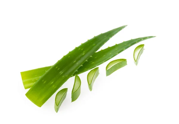 Aloe vera affettato pianta isolato sfondo bianco — Foto Stock