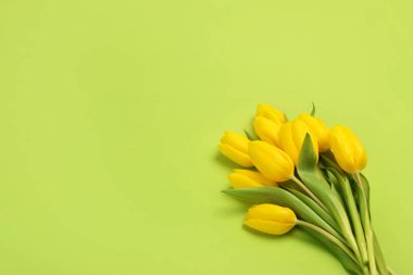 Bahar çiçekleri afişi - Sarı lale çiçekleri demeti üst manzara