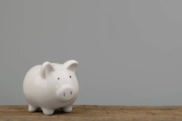 Piggy Bank Concepto Ahorro Dinero Con Espacio Copia —  Fotos de Stock
