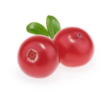 Beyaz arka planda yaban mersinleri izole