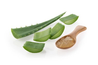 Aloe vera bitkisi izole edilmiş beyaz arkaplan