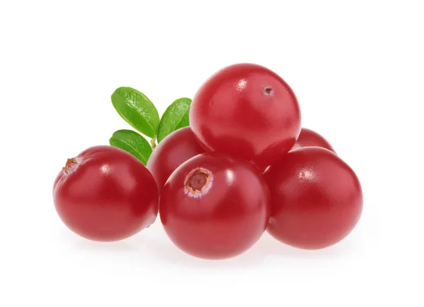 Cranberries Geïsoleerd Witte Achtergrond — Stockfoto