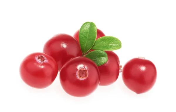 Cranberry Diisolasi Pada Latar Belakang Putih — Stok Foto