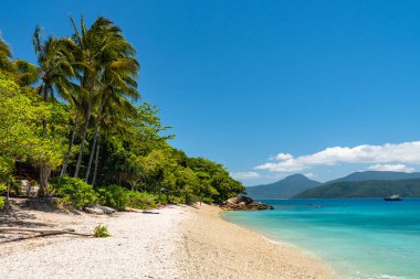 Güneşli bir günde Fitzroy Tropikal Adası Sahili