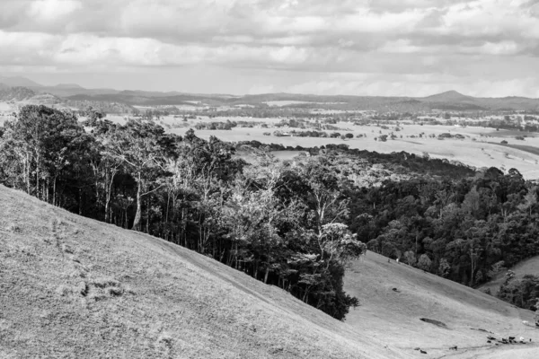Paisagem rural de Queensland na estação seca — Fotografia de Stock
