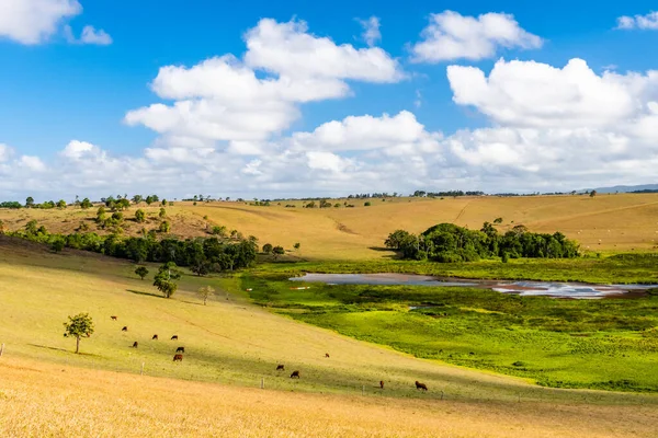 Paisaje rural de Queensland en la estación seca — Foto de Stock