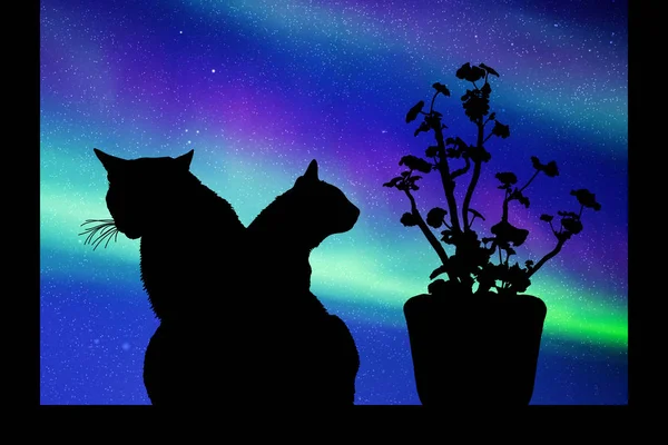 子猫とポットの花のシルエットのベクター イラスト 星空のオーロラ カラフルなオーロラが見られます — ストックベクタ