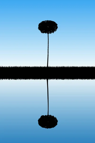 Paysage Avec Arbre Solitaire Illustration Vectorielle Avec Silhouette Isolée Érable — Image vectorielle