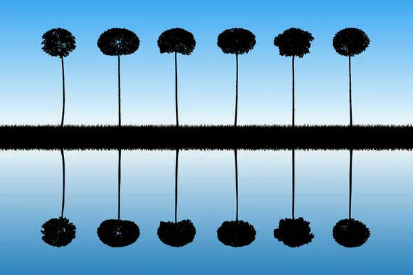 Landskap Med Dekorativa Träd Vektorillustration Med Isolerade Silhuetter Lönnar Återspeglas — Stock vektor