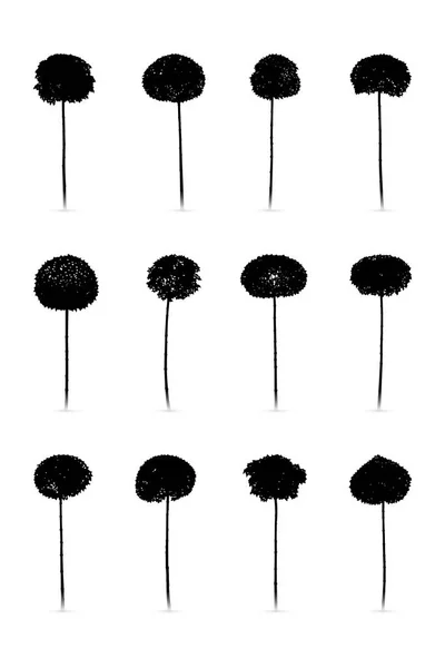 Vector Set Met Geïsoleerde Silhouetten Van Decoratieve Bomen Winter Landschap — Stockvector