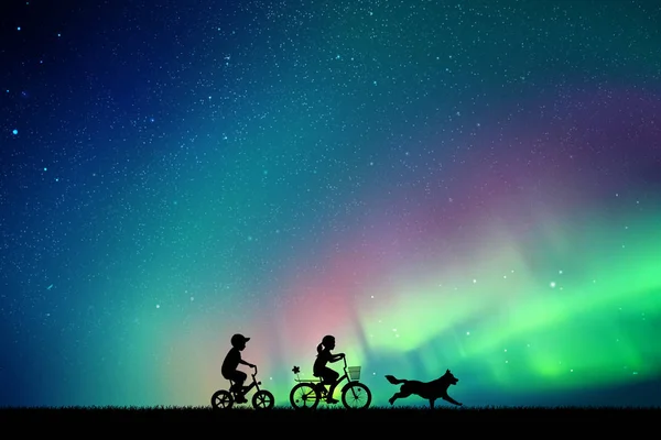  Bisiklet ve koşu köpek gece parkta çocuklar