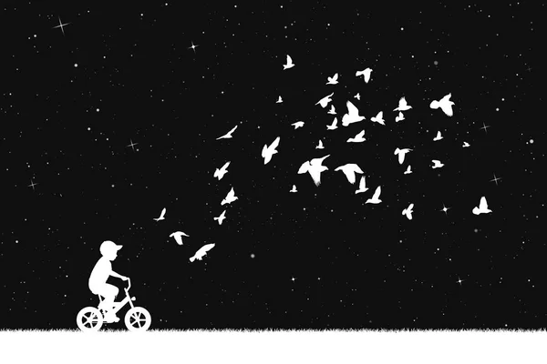 Boy on bike and pigeons in park at night — Stock Vector