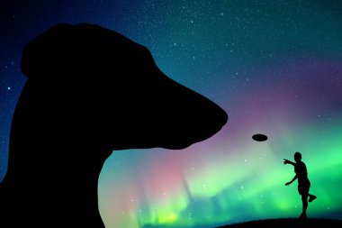 Dachshund ve adam plaka ile vektör çizim siluetleri ile. Yıldızlı gökyüzü Kuzey ışıkları. Renkli aurora borealis