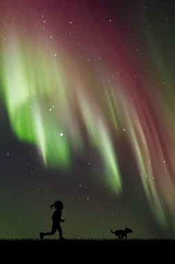 Vektör çizim siluetleri ile evde beslenen hayvan ile çalışan çocuk. Yıldızlı gökyüzü Kuzey ışıkları. Renkli aurora borealis