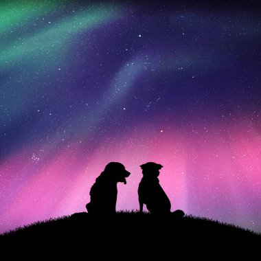 İki hayvan Hill'de oturan vektör Illustration siluetleri ile. Yıldızlı gökyüzü Kuzey ışıkları. Renkli aurora borealis