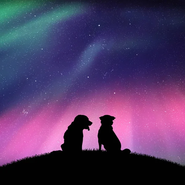 İki hayvan Hill'de oturan vektör Illustration siluetleri ile. Yıldızlı gökyüzü Kuzey ışıkları. Renkli aurora borealis
