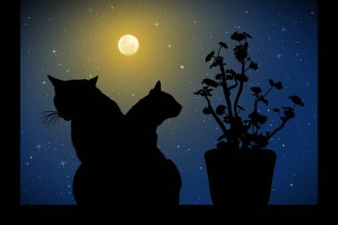 Kediler mehtaplı gece pencereye yakın. Yavru kedi ve çiçek tencerede vektör çizim siluetleri ile. Yıldızlı gökyüzü dolunay