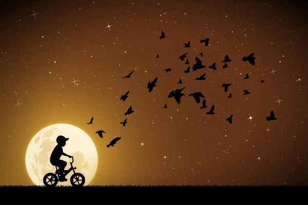 Fiú Kerékpár Galambok Holdfényes Éjszaka Vektoros Illusztráció Sziluettek Kerékpár Madarak — Stock Vector