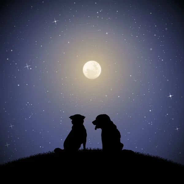 Mehtaplı gece köpek arkadaşlar. İki hayvan park hill oturan vektör Illustration siluetleri ile. Yıldızlı gökyüzü dolunay