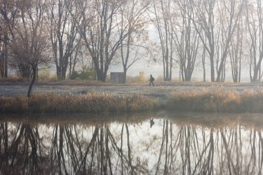 Sisin içinde yürüyen yalnız bir adam. Nehir kıyısında hoarfrost çıplak ağaçlar ile Sonbahar manzara. Şehir parkı suya yansıdı